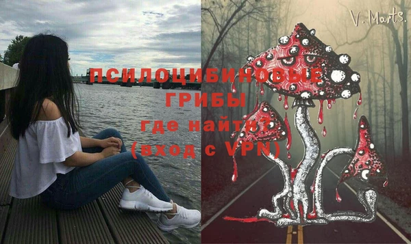 стафф Елизово