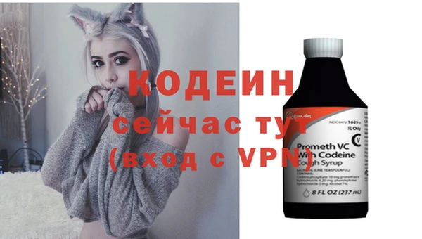 дурь Ельня