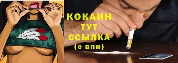 хмурый Дмитриев