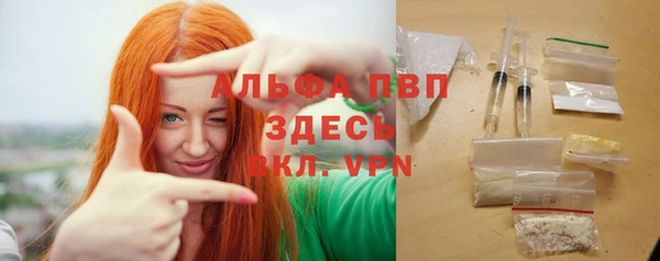 стафф Елизово