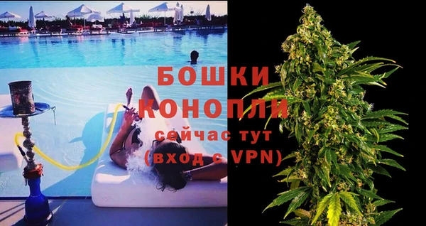 дурь Ельня
