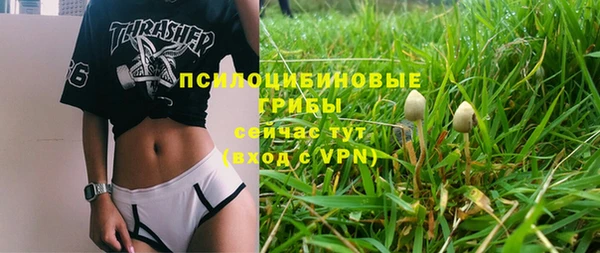 стафф Елизово