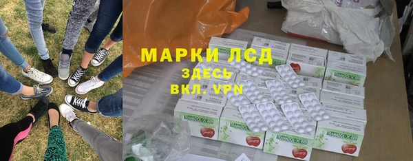 стафф Елизово