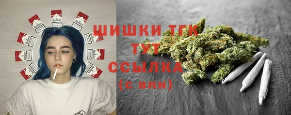 дурь Ельня