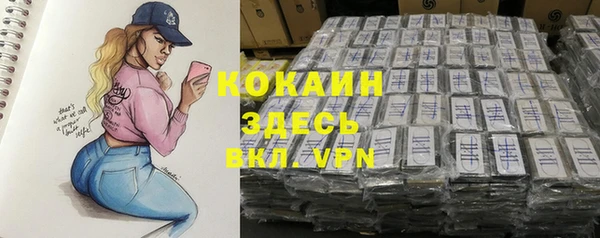 дурь Ельня