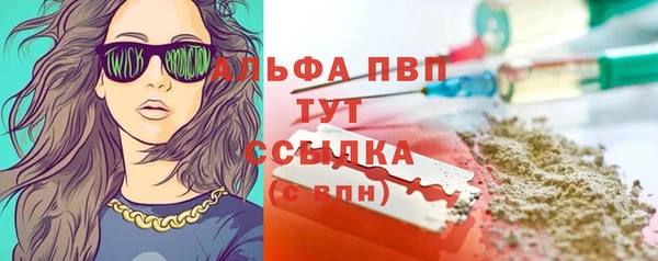 стафф Елизово
