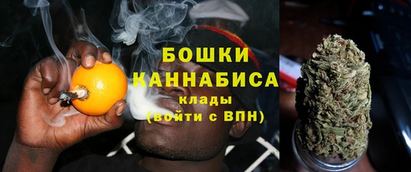 стафф Елизово