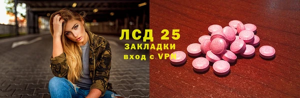 стафф Елизово