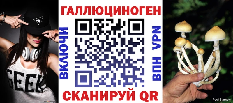 Псилоцибиновые грибы GOLDEN TEACHER  даркнет сайт  Зеленодольск 